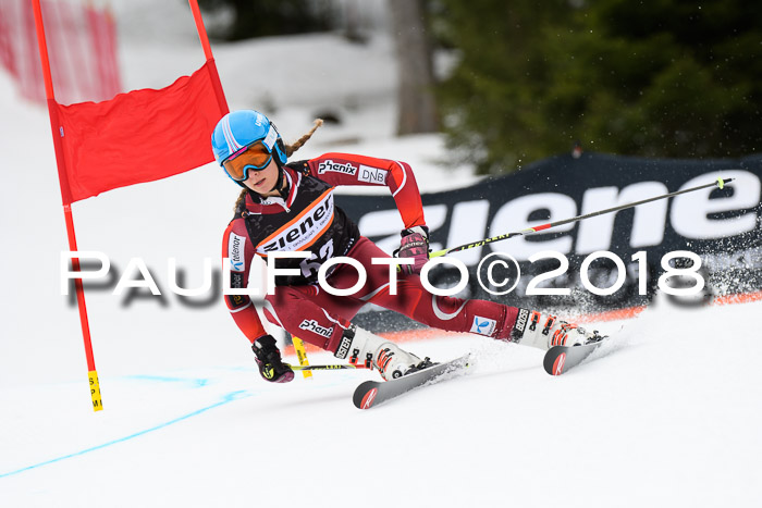 4. Ziener Cup 2018 RS ASV