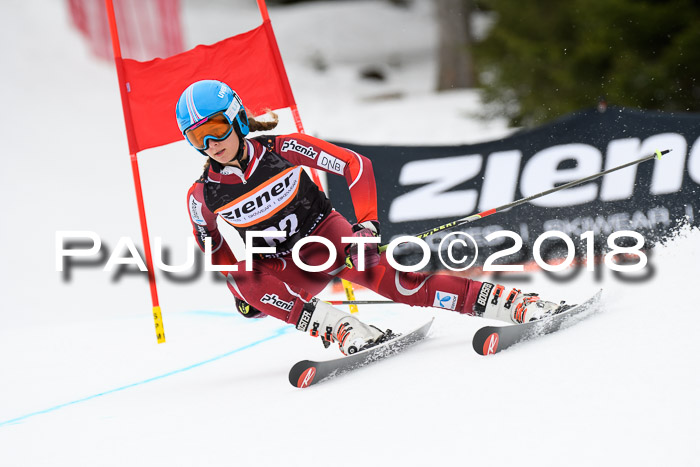 4. Ziener Cup 2018 RS ASV