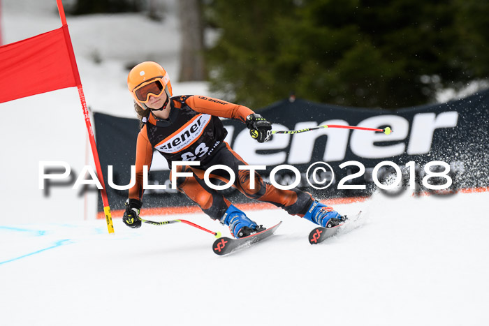 4. Ziener Cup 2018 RS ASV