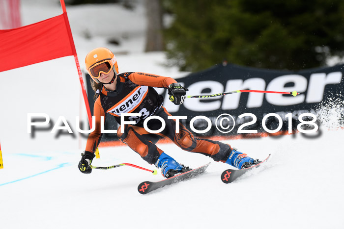 4. Ziener Cup 2018 RS ASV