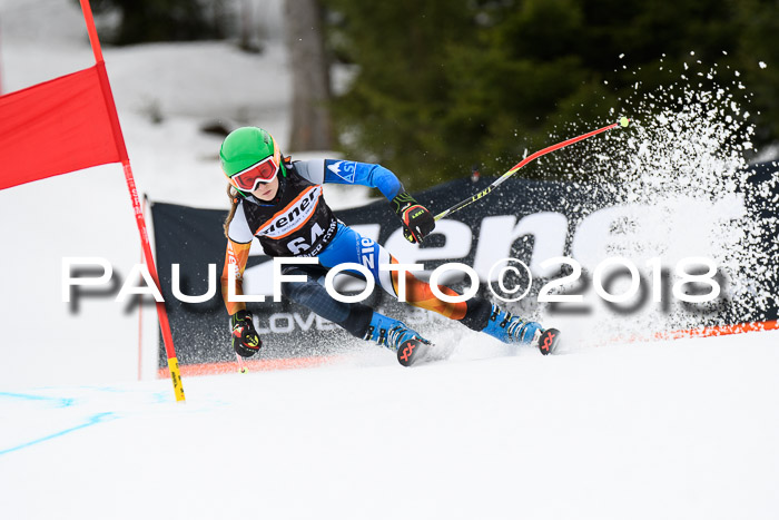 4. Ziener Cup 2018 RS ASV
