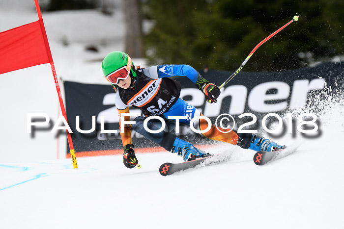 4. Ziener Cup 2018 RS ASV