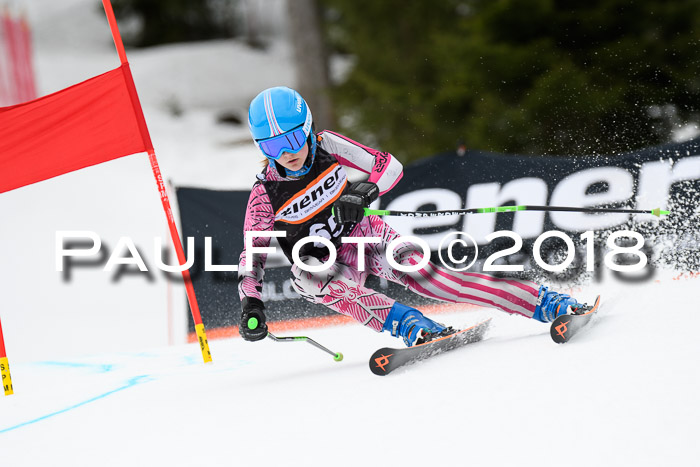 4. Ziener Cup 2018 RS ASV