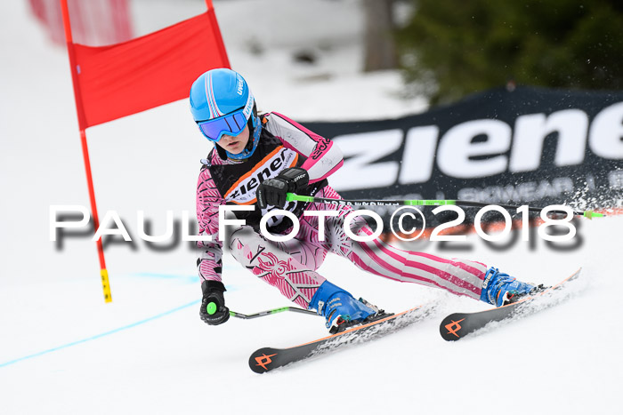 4. Ziener Cup 2018 RS ASV