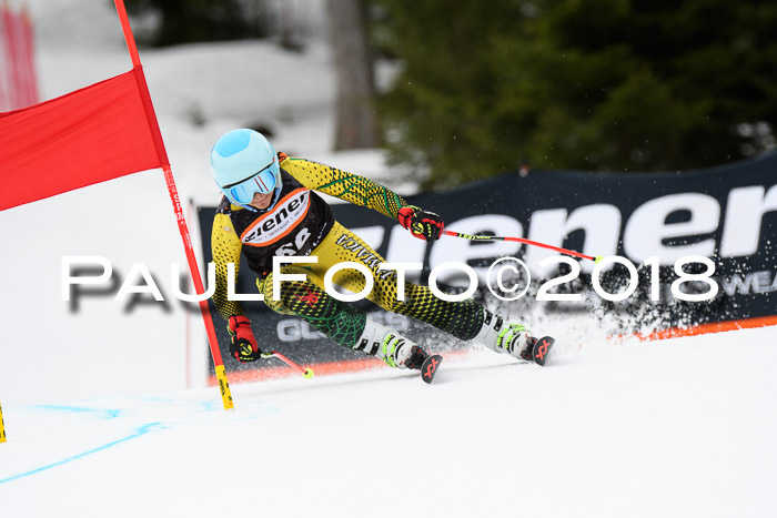 4. Ziener Cup 2018 RS ASV