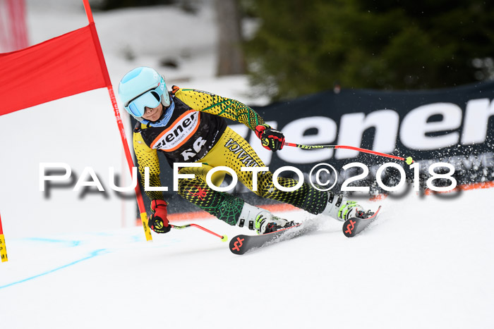 4. Ziener Cup 2018 RS ASV