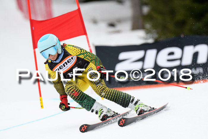 4. Ziener Cup 2018 RS ASV