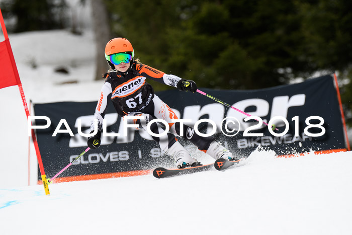 4. Ziener Cup 2018 RS ASV