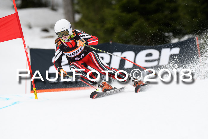 4. Ziener Cup 2018 RS ASV