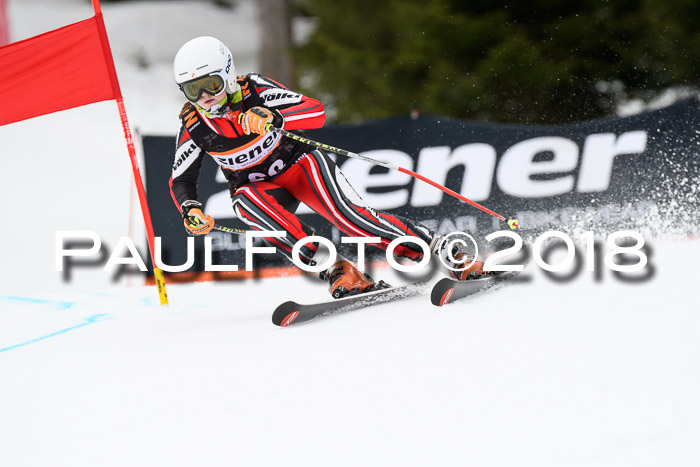 4. Ziener Cup 2018 RS ASV