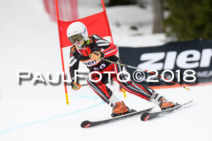 4. Ziener Cup 2018 RS ASV