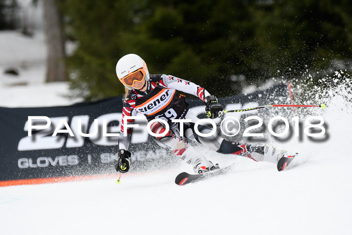 4. Ziener Cup 2018 RS ASV