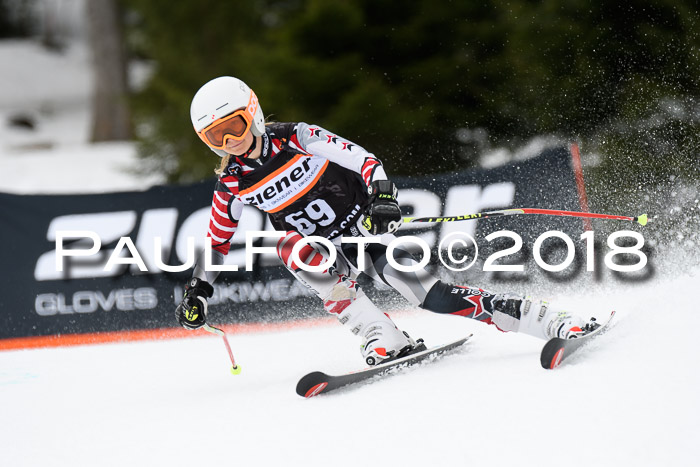 4. Ziener Cup 2018 RS ASV