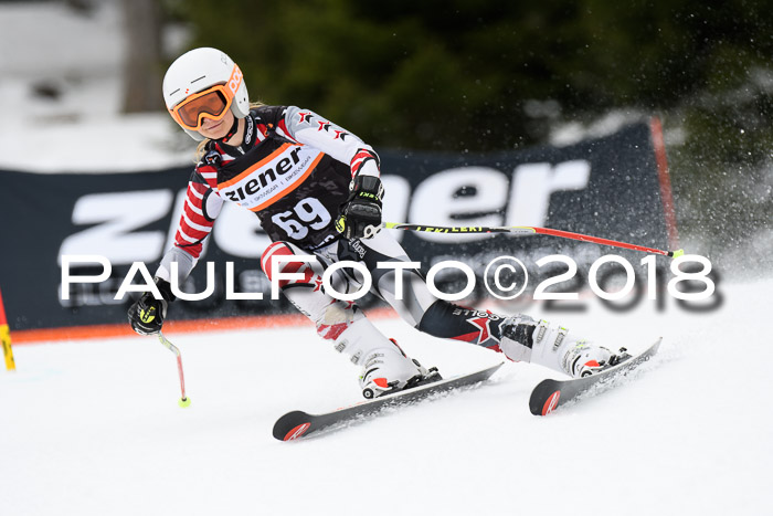 4. Ziener Cup 2018 RS ASV