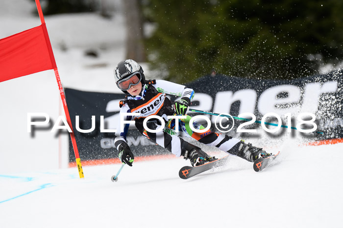 4. Ziener Cup 2018 RS ASV