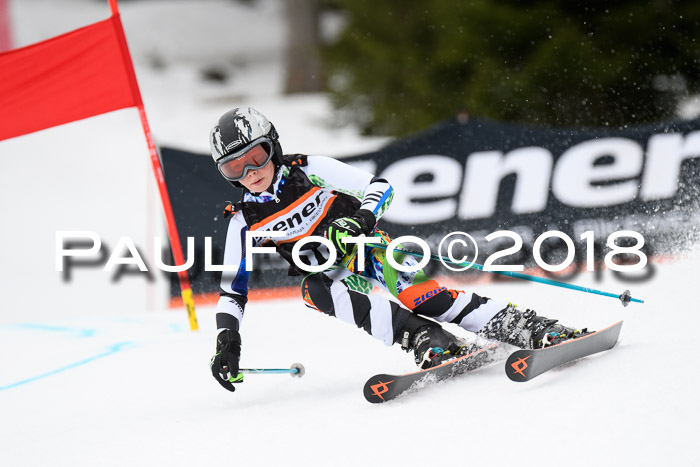 4. Ziener Cup 2018 RS ASV