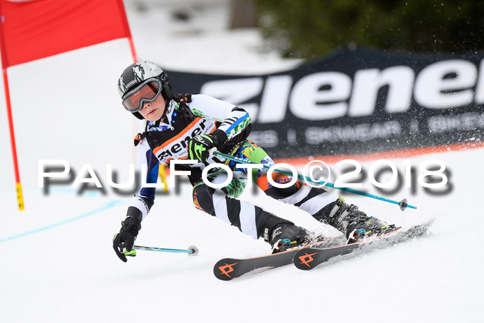 4. Ziener Cup 2018 RS ASV