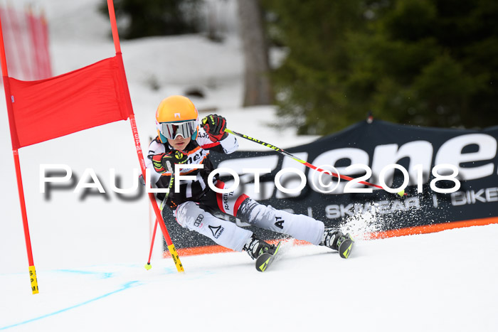 4. Ziener Cup 2018 RS ASV
