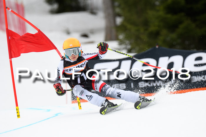 4. Ziener Cup 2018 RS ASV