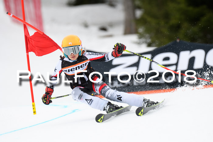 4. Ziener Cup 2018 RS ASV