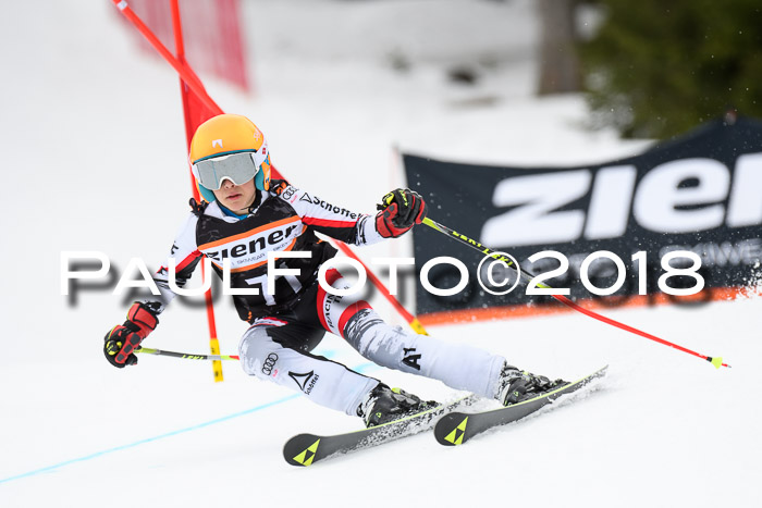 4. Ziener Cup 2018 RS ASV