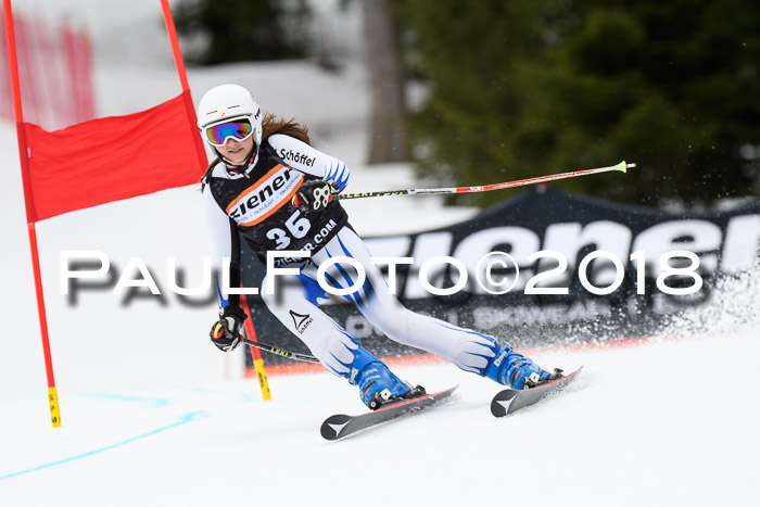 4. Ziener Cup 2018 RS ASV