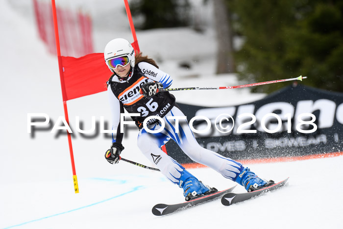 4. Ziener Cup 2018 RS ASV
