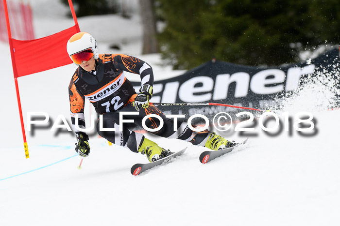 4. Ziener Cup 2018 RS ASV