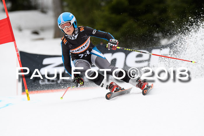 4. Ziener Cup 2018 RS ASV