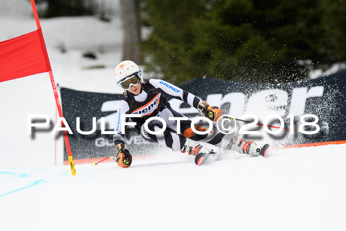 4. Ziener Cup 2018 RS ASV