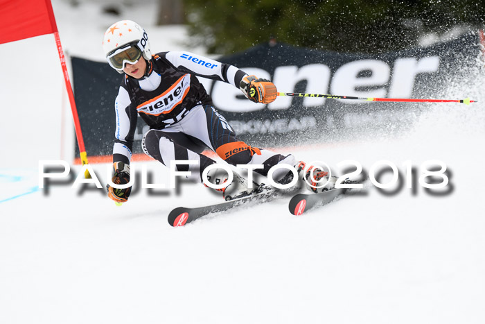 4. Ziener Cup 2018 RS ASV