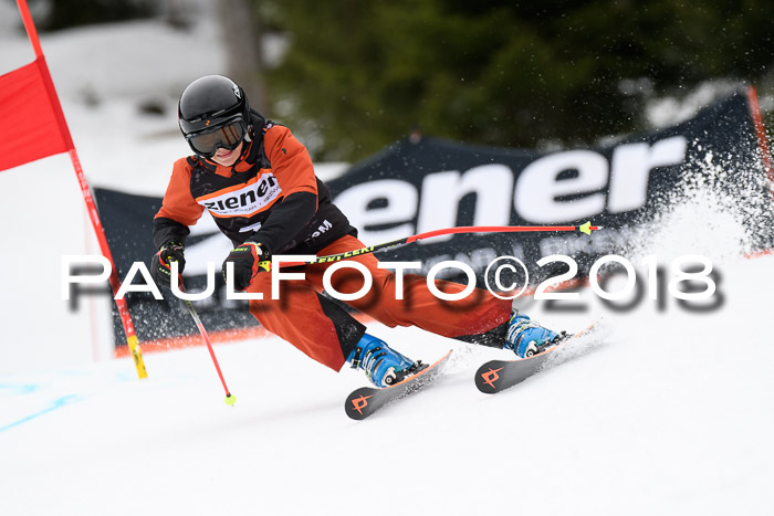 4. Ziener Cup 2018 RS ASV