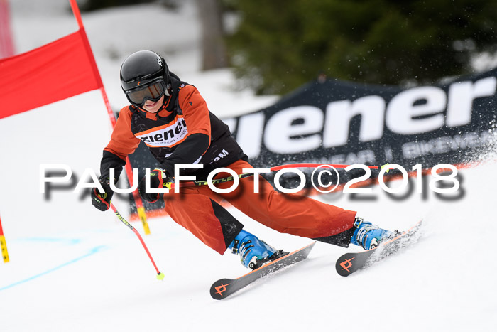 4. Ziener Cup 2018 RS ASV