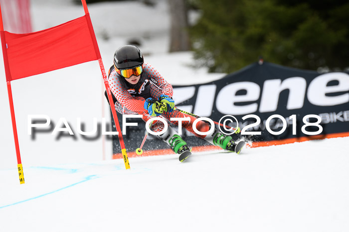 4. Ziener Cup 2018 RS ASV