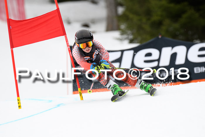 4. Ziener Cup 2018 RS ASV