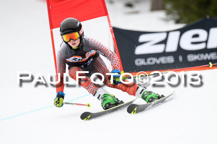 4. Ziener Cup 2018 RS ASV