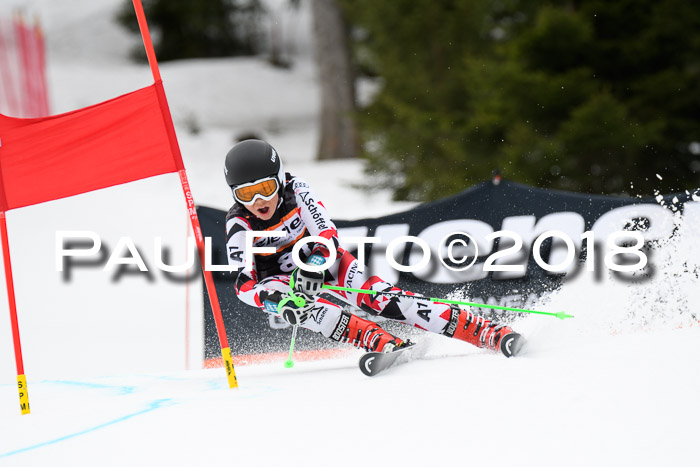 4. Ziener Cup 2018 RS ASV