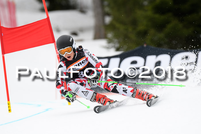 4. Ziener Cup 2018 RS ASV