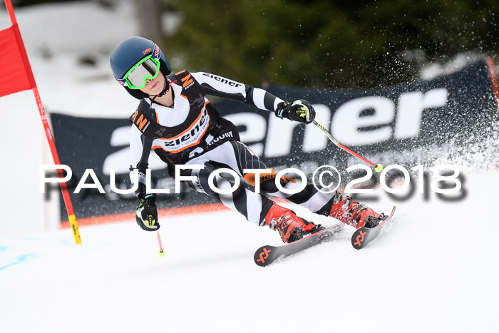 4. Ziener Cup 2018 RS ASV