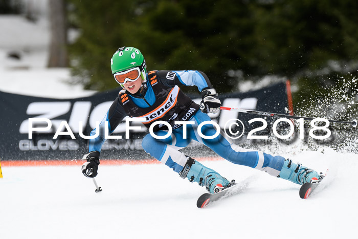 4. Ziener Cup 2018 RS ASV