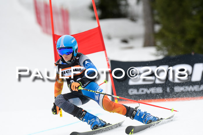 4. Ziener Cup 2018 RS ASV