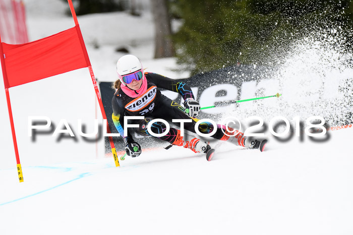 4. Ziener Cup 2018 RS ASV