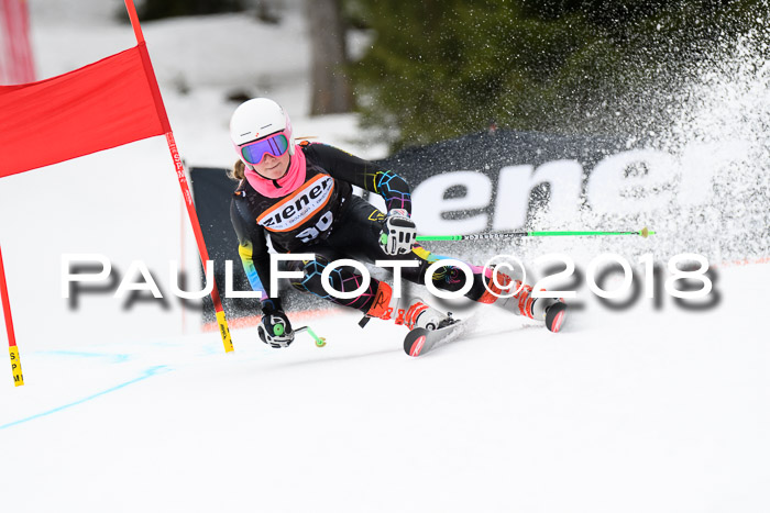 4. Ziener Cup 2018 RS ASV
