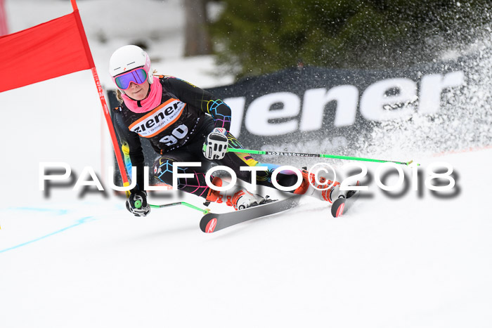 4. Ziener Cup 2018 RS ASV