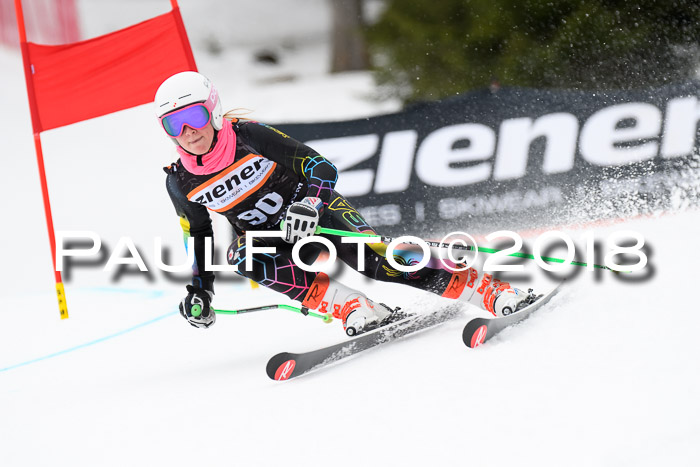 4. Ziener Cup 2018 RS ASV