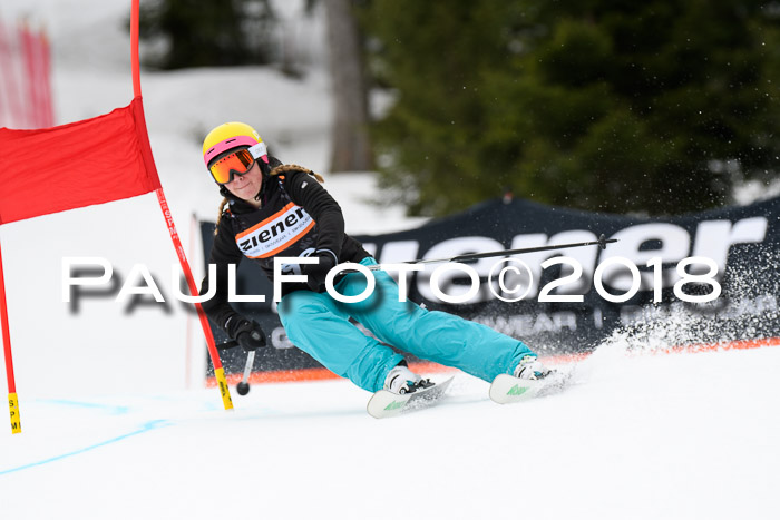 4. Ziener Cup 2018 RS ASV