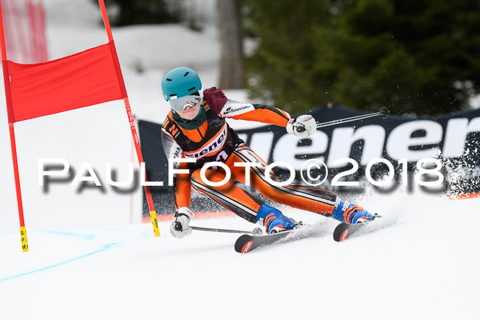 4. Ziener Cup 2018 RS ASV