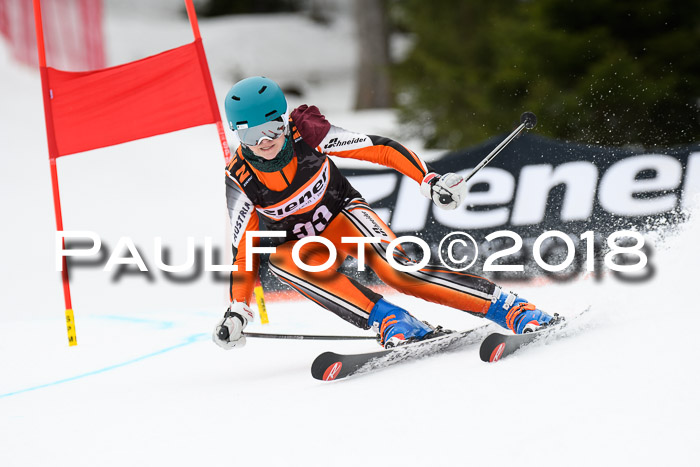4. Ziener Cup 2018 RS ASV