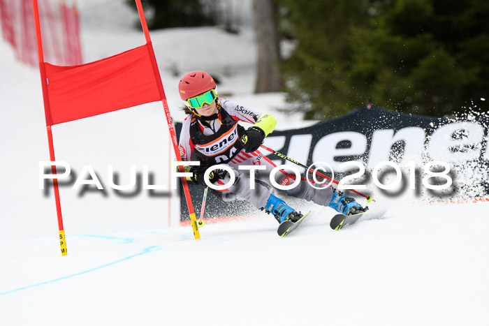 4. Ziener Cup 2018 RS ASV