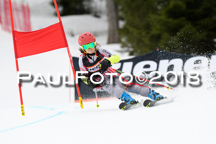 4. Ziener Cup 2018 RS ASV